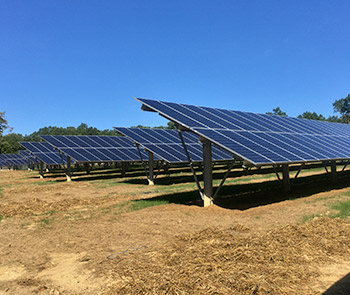 Solar Farm