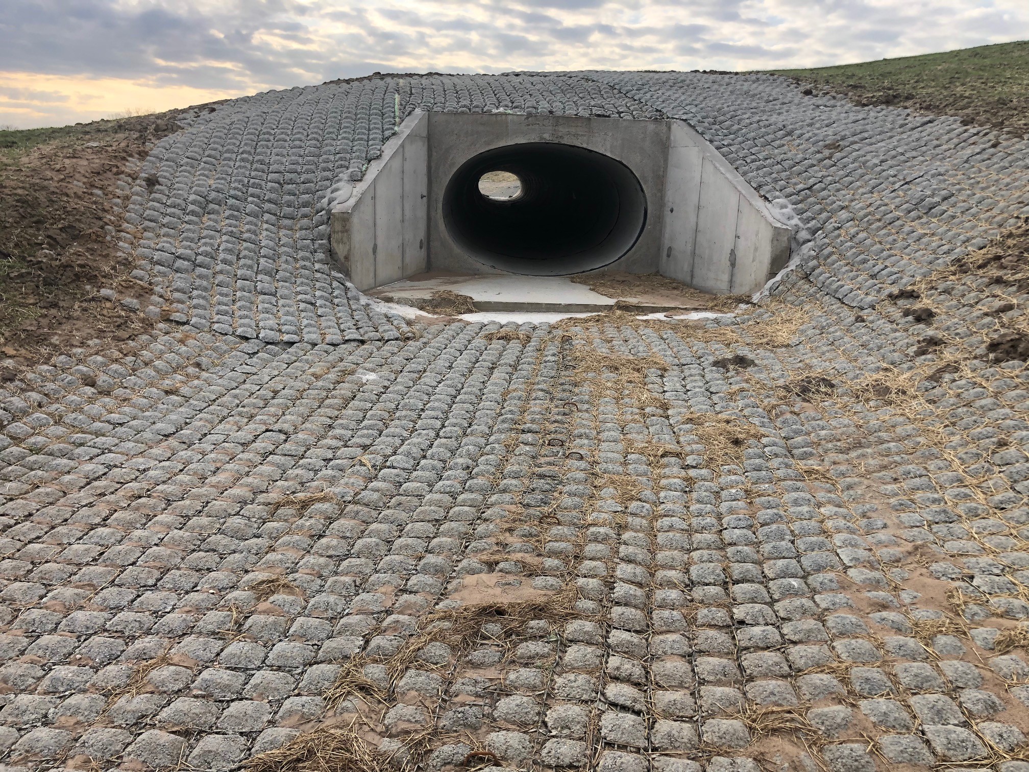 Steep Slope Armoring Erosion Control